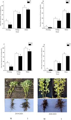 Intercropping of wheat alleviates the adverse effects of phenolic acids on faba bean